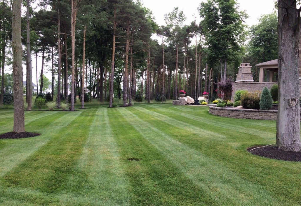 Lawn Maintenance by Landscape One.