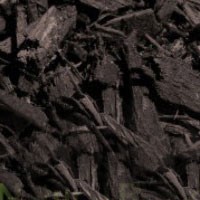 Black Wood Mulch