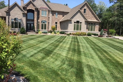 Lawn Maintenance