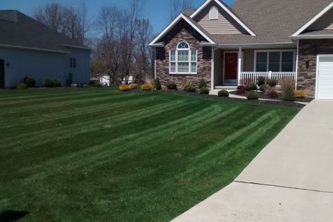 Lawn Maintenance by Landscape One.